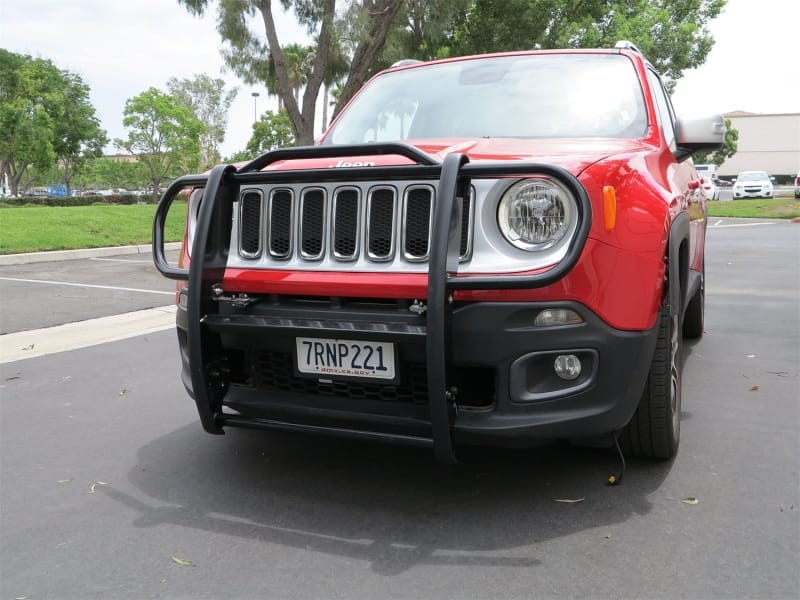 RUG Grille Guards thumbnail 3
