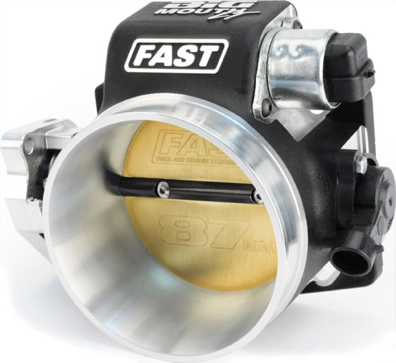 FST Throttle Bodies