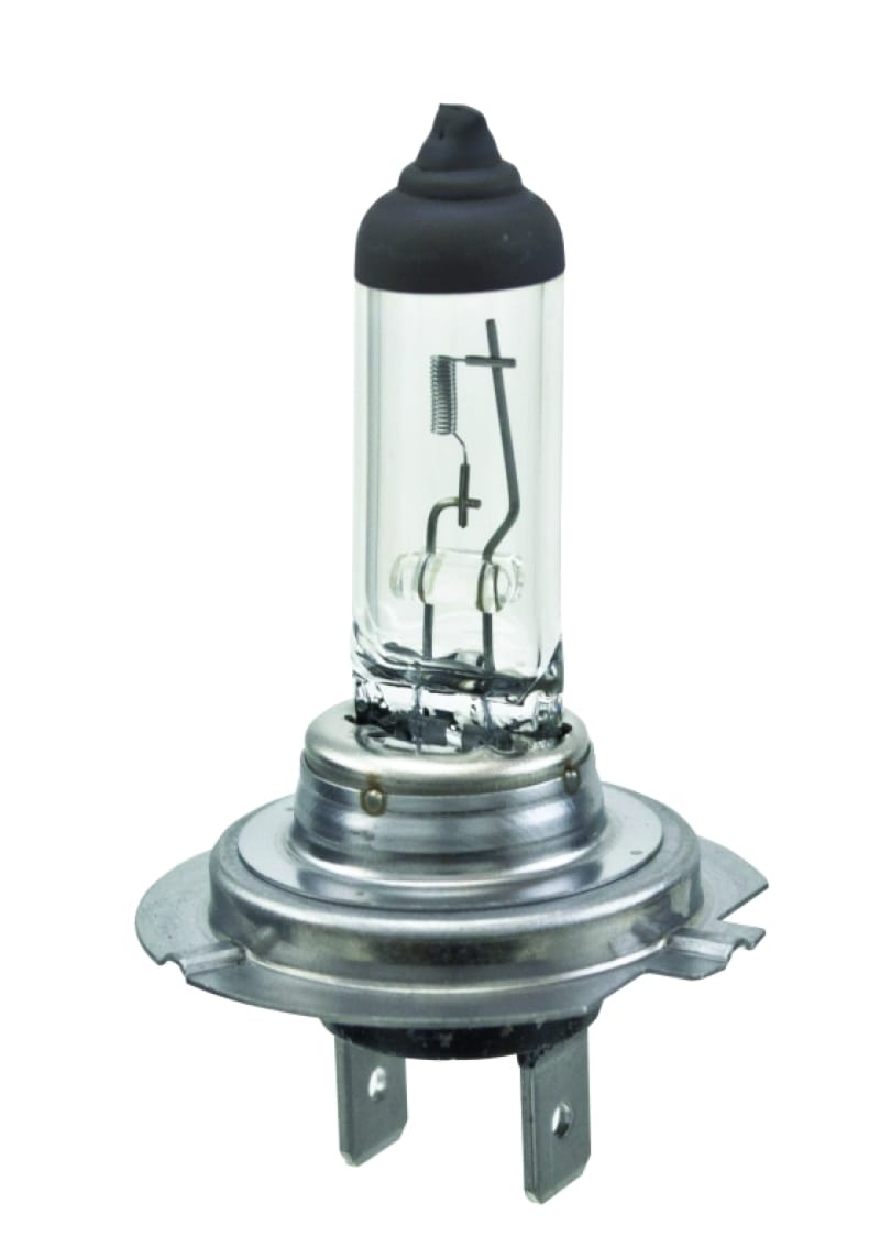 HELLA Halogen Bulb