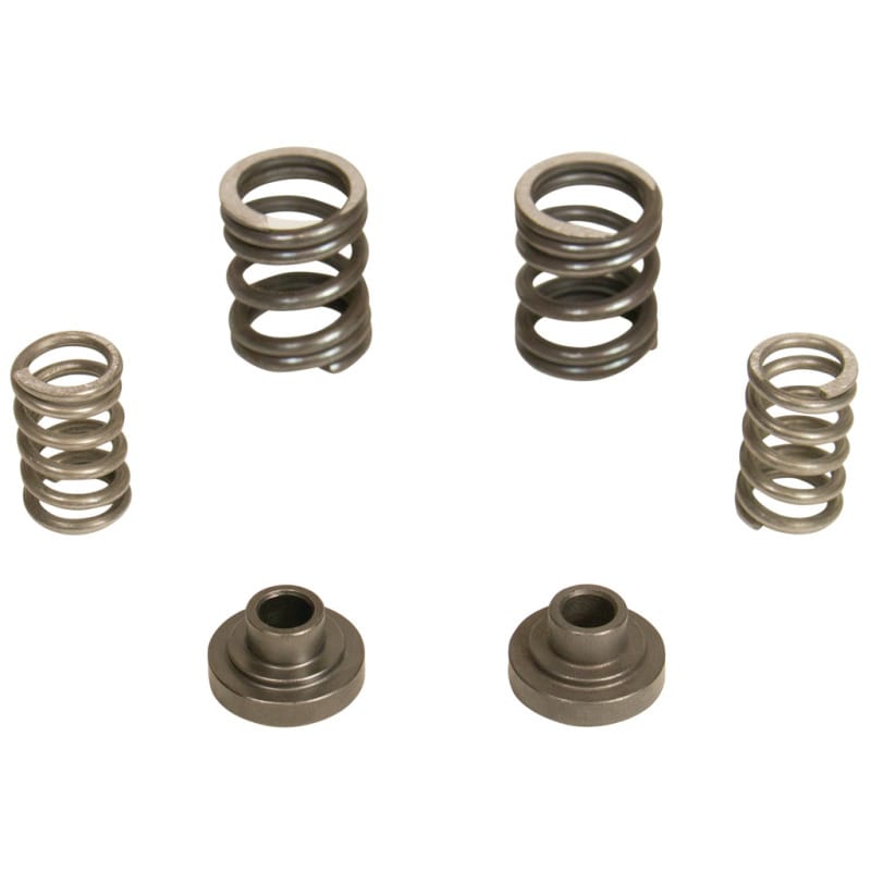 BDD Governor Spring Kits