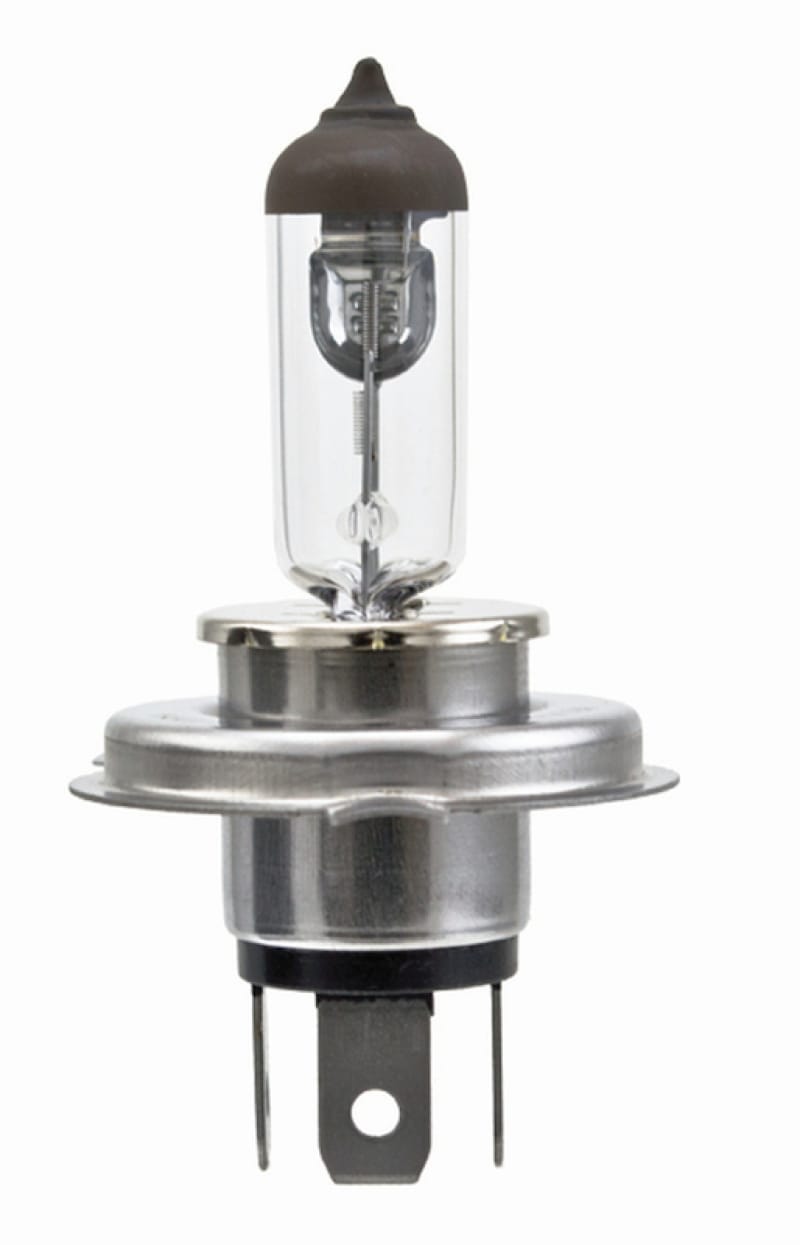 HELLA Bulbs