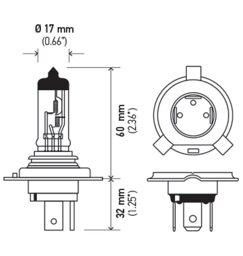 HELLA Halogen Bulb thumbnail 2