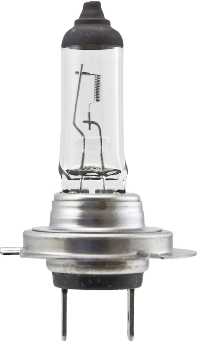 HELLA Halogen Bulb