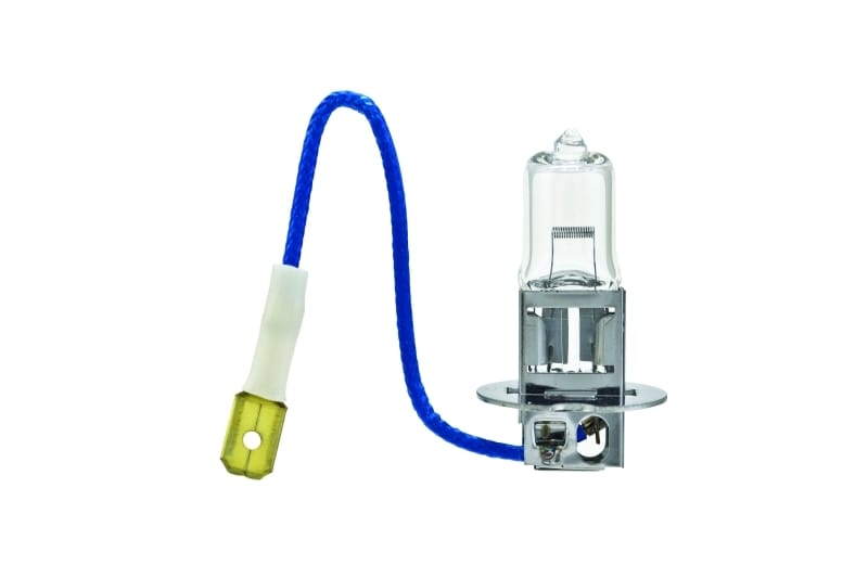 HELLA Halogen Bulb