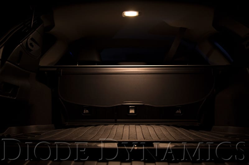 DIO Replacement Bulbs thumbnail 2