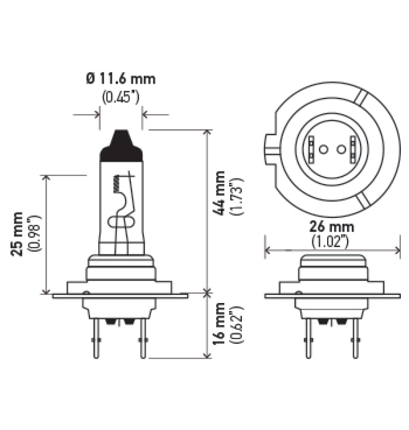 HELLA Halogen Bulb thumbnail 3