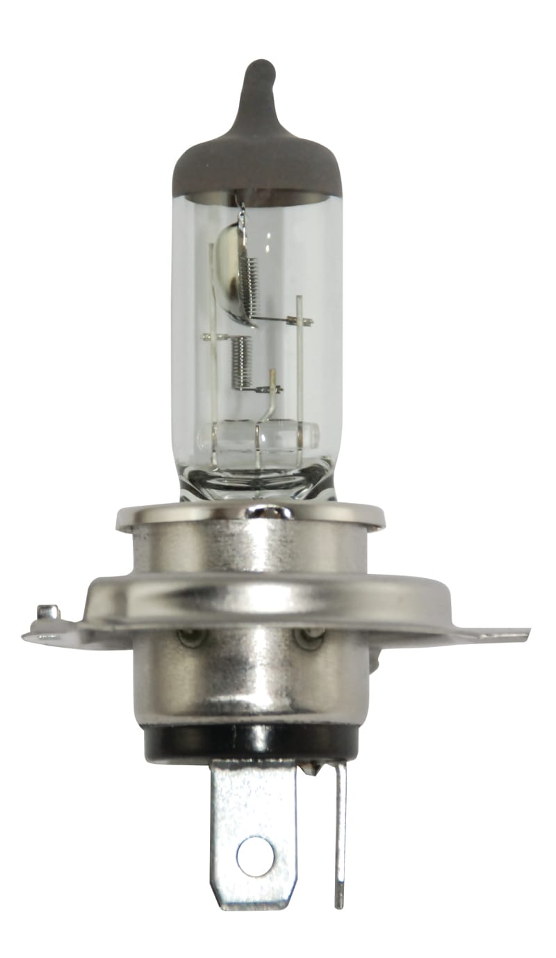 HELLA Halogen Bulb