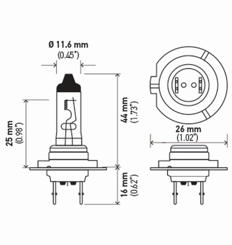 HELLA Halogen Bulb thumbnail 2