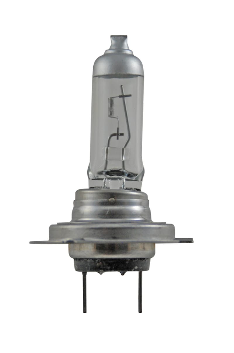 HELLA Bulbs