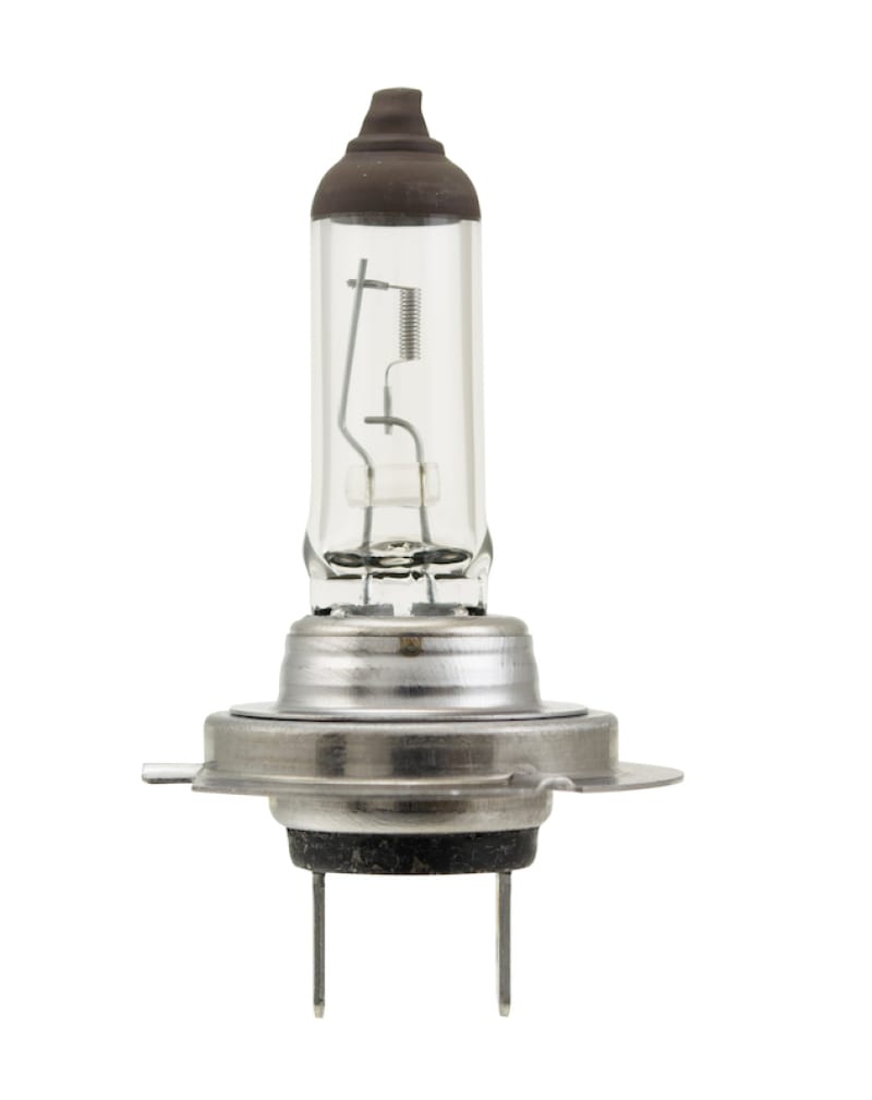 HELLA Halogen Bulb