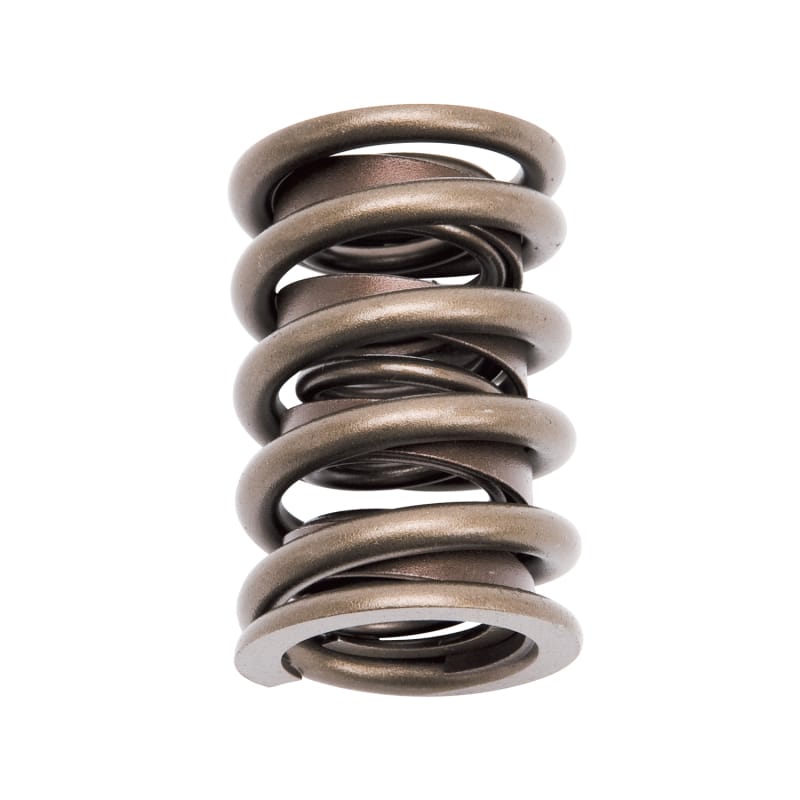 EDE Valve Springs thumbnail 3