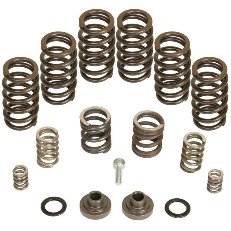 BDD Governor Spring Kits