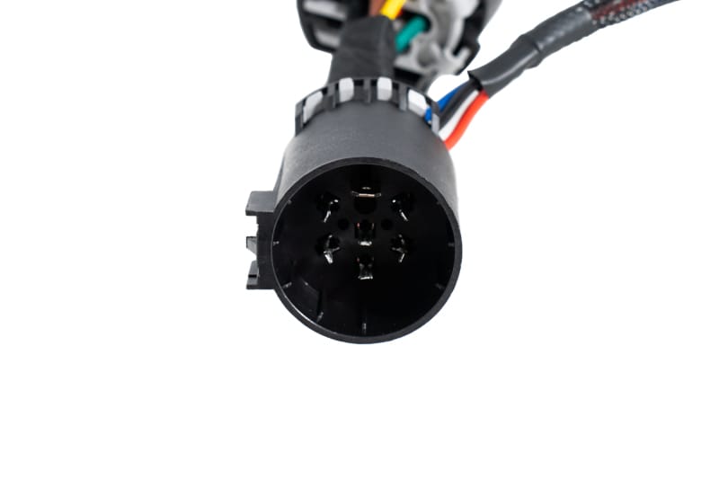DIO Wiring Harness thumbnail 3