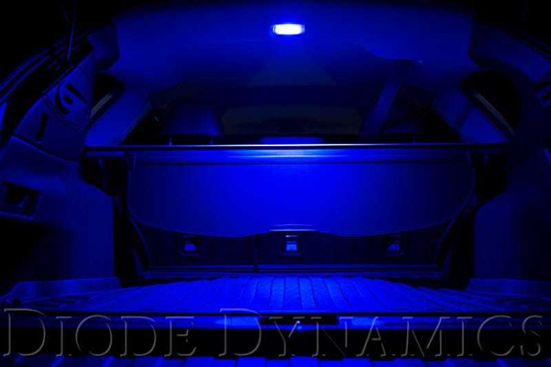 DIO Replacement Bulbs thumbnail 6
