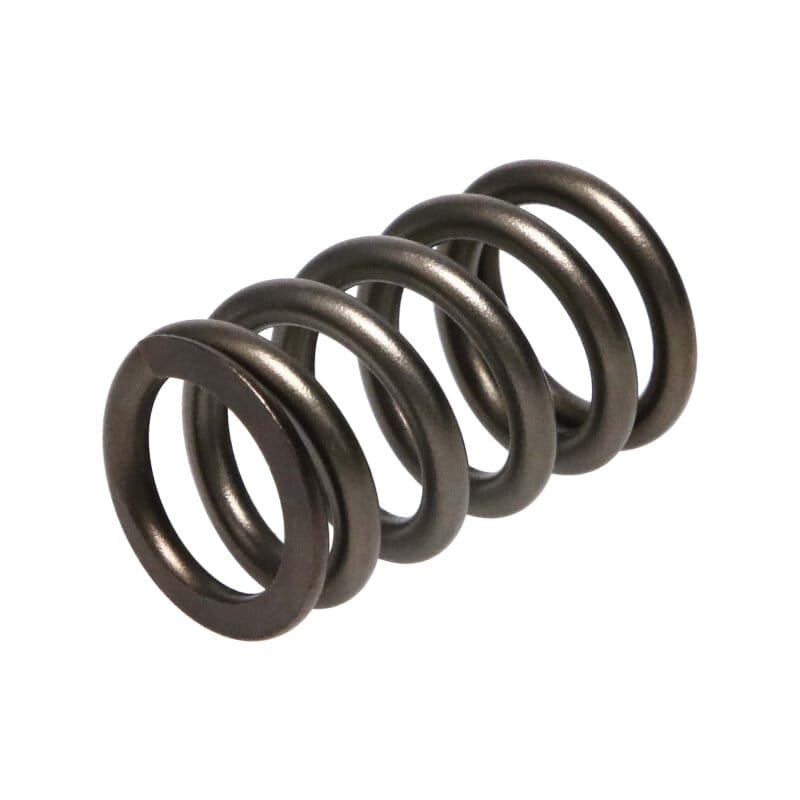 MAN Valve Spring Kits thumbnail 2