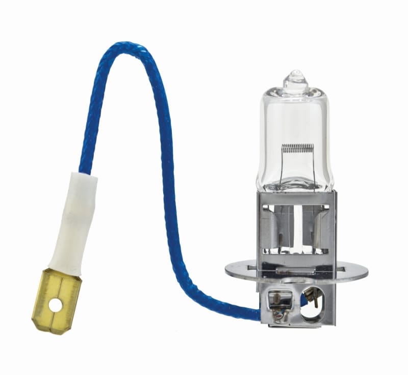 HELLA Halogen Bulb