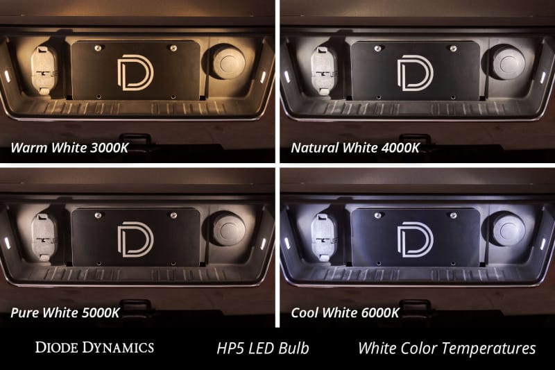 DIO Replacement Bulbs thumbnail 3