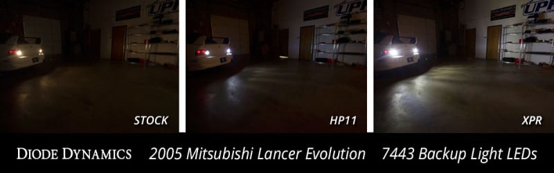 DIO Replacement Bulbs thumbnail 3