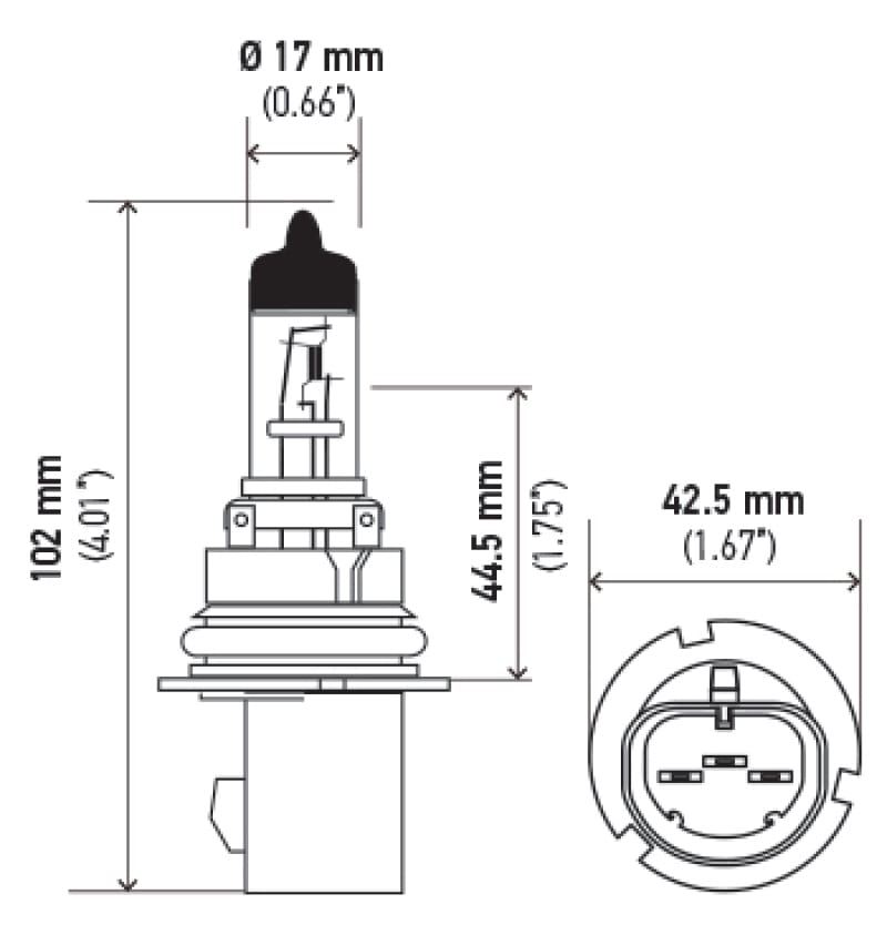 HELLA Halogen Bulb thumbnail 2
