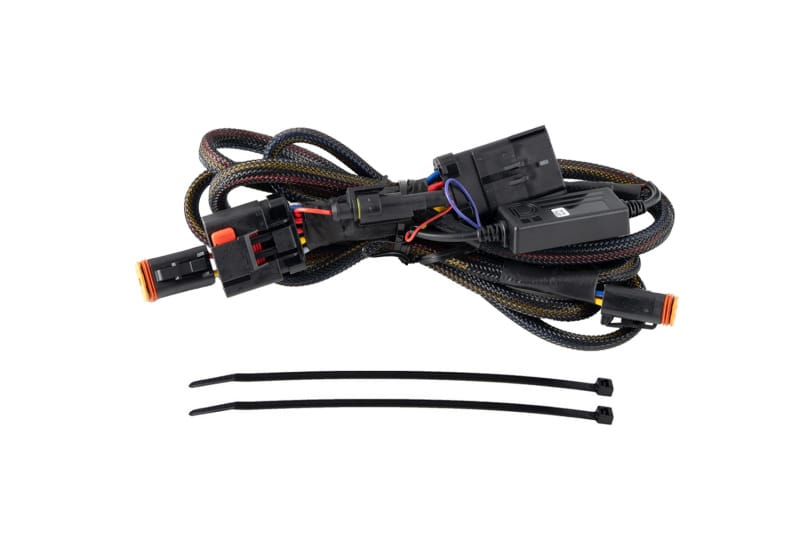 DIO Wiring Harness