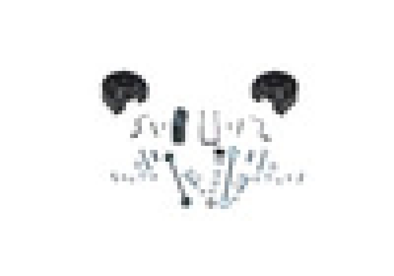 SLF Leveling Kits