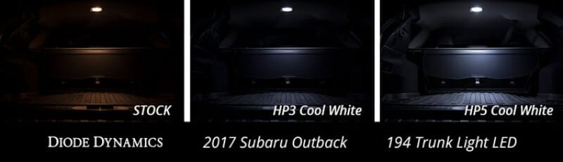 DIO Replacement Bulbs thumbnail 7