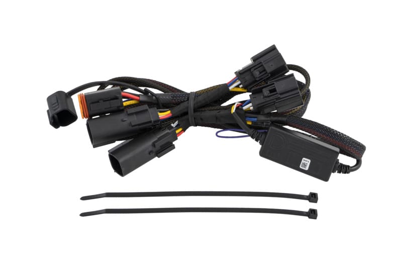 DIO Wiring Harness