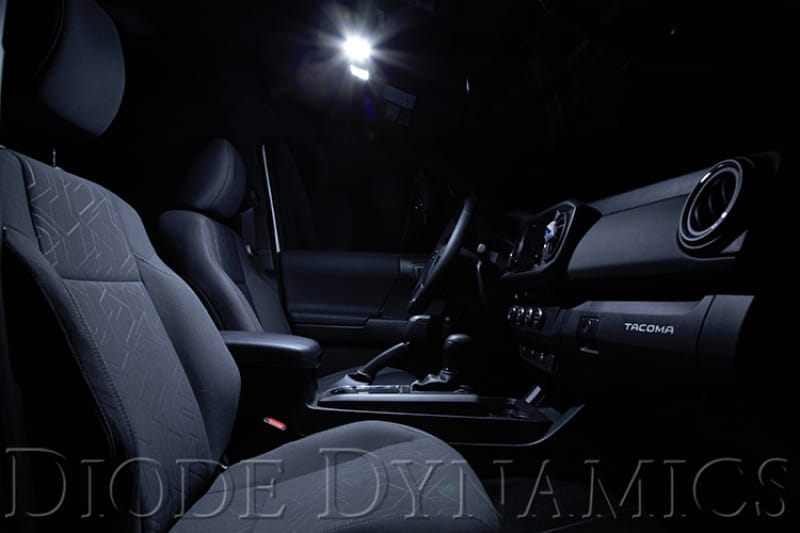 DIO Replacement Bulbs thumbnail 2
