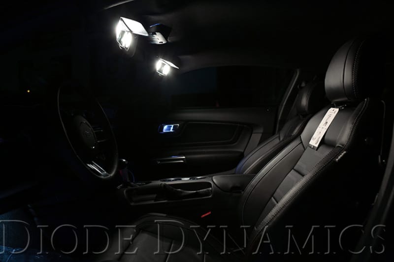 DIO Replacement Bulbs thumbnail 5