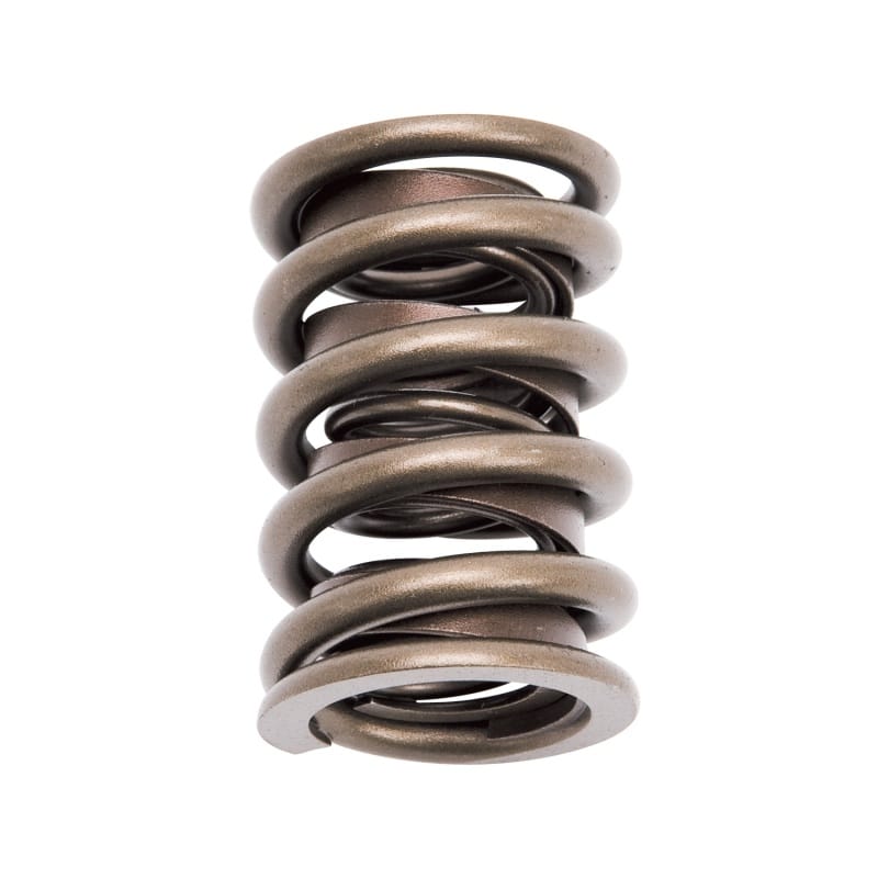 EDE Valve Springs thumbnail 2