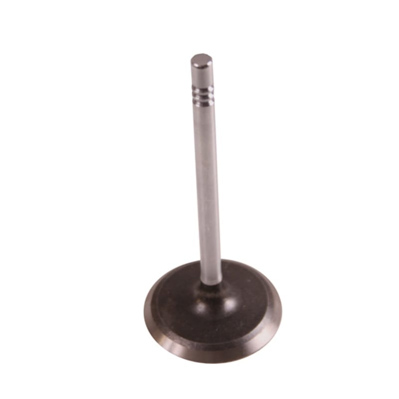 OMI Valves